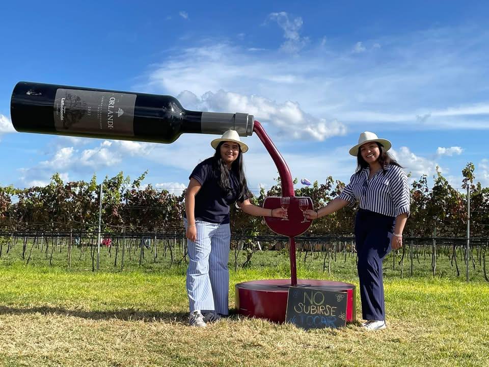 Experiencia de viaje en viñedo